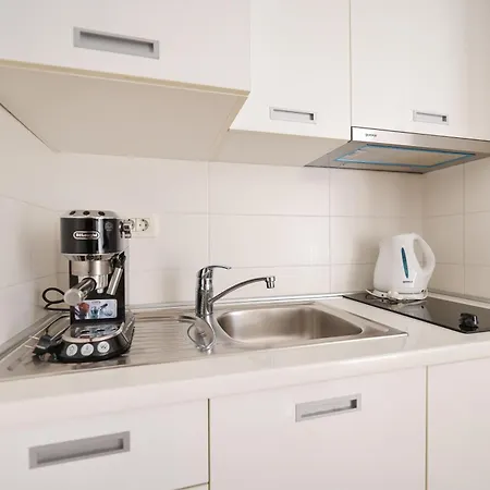 Guest house Tinel Superior 4*